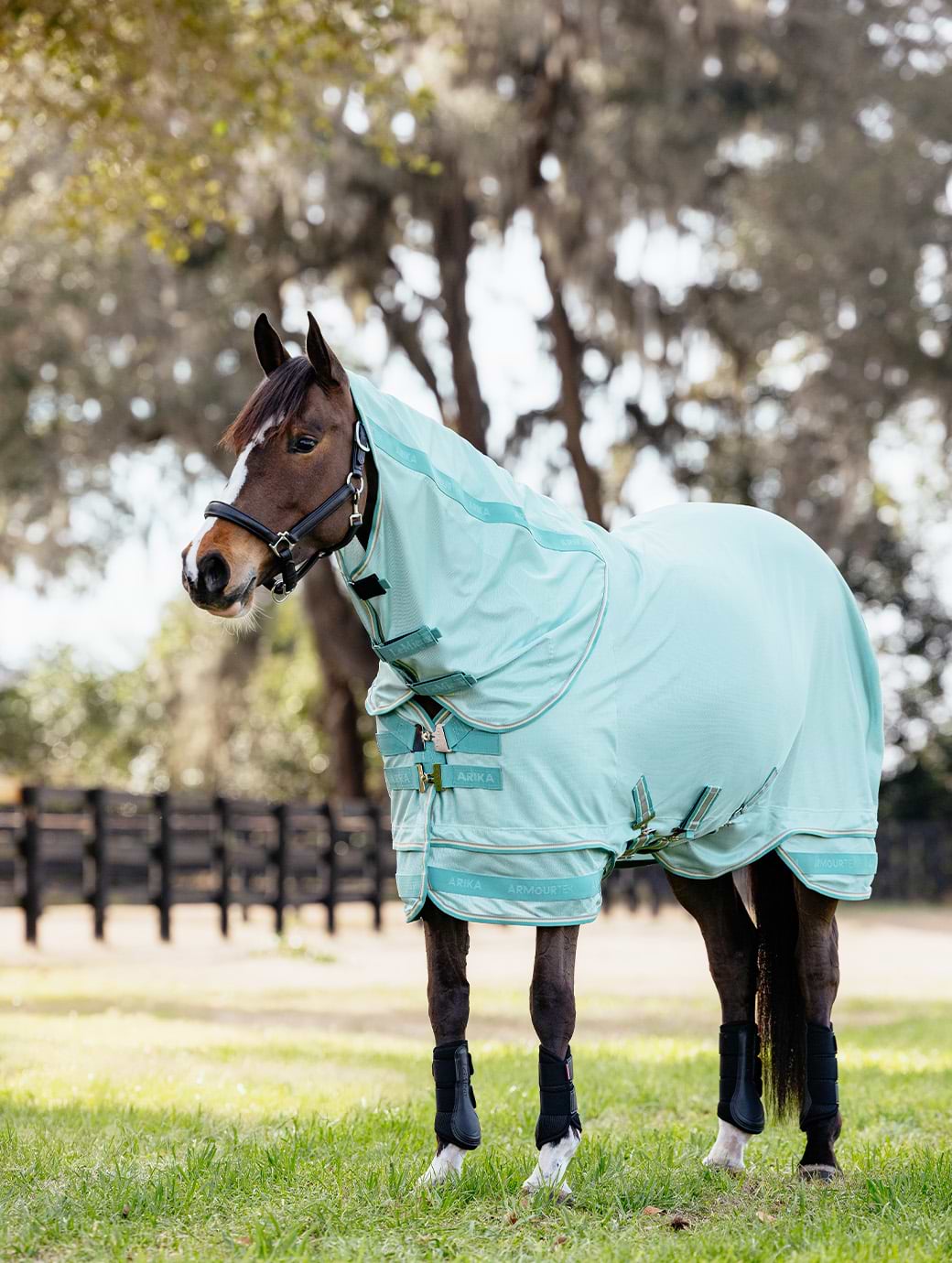LeMieux Arika Armour-Tek Fly Rug Aqua
