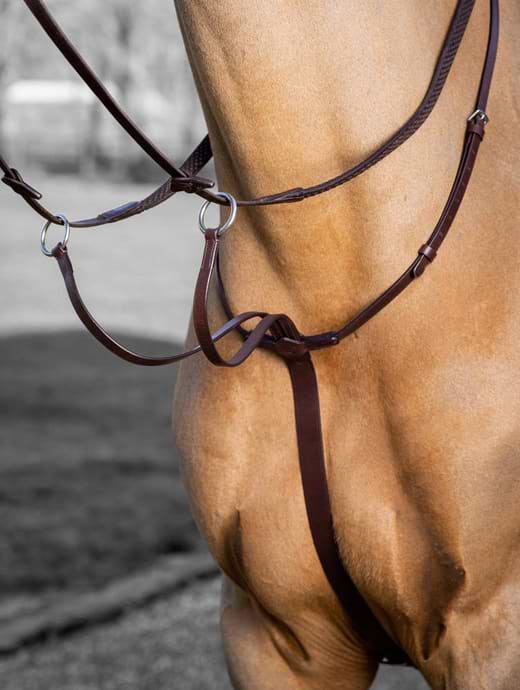 LeMieux Arika Running Martingale Havana/Silver
