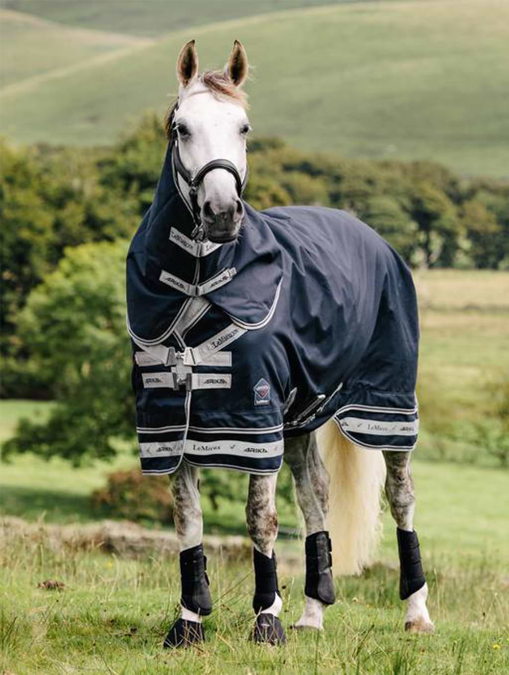 LeMieux Rug Arika Storm - Tek Rug 50g Navy