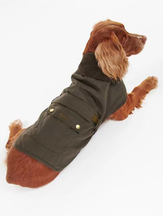 Large barbour dog coat sales
