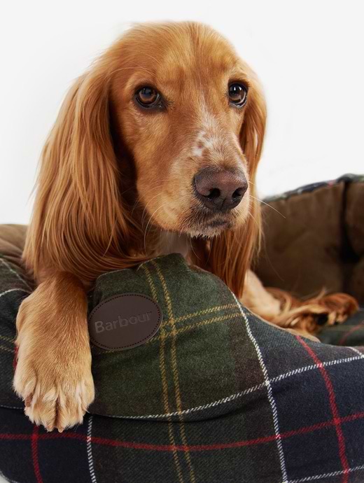 Barbour dog cushion top