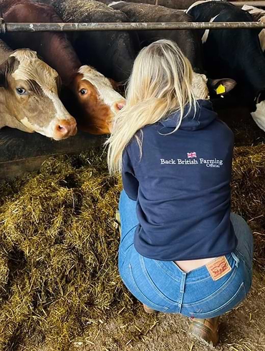Back British Farming The BBF Pro Hoodie Navy