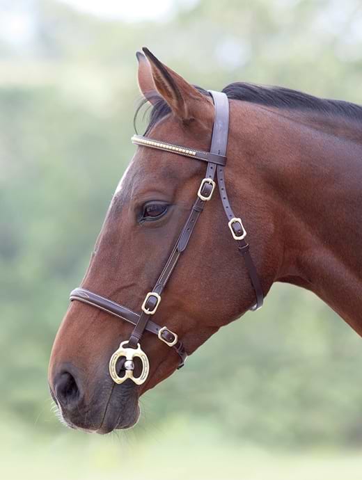 Shires Blenheim Clincher In hand Bridle Havana