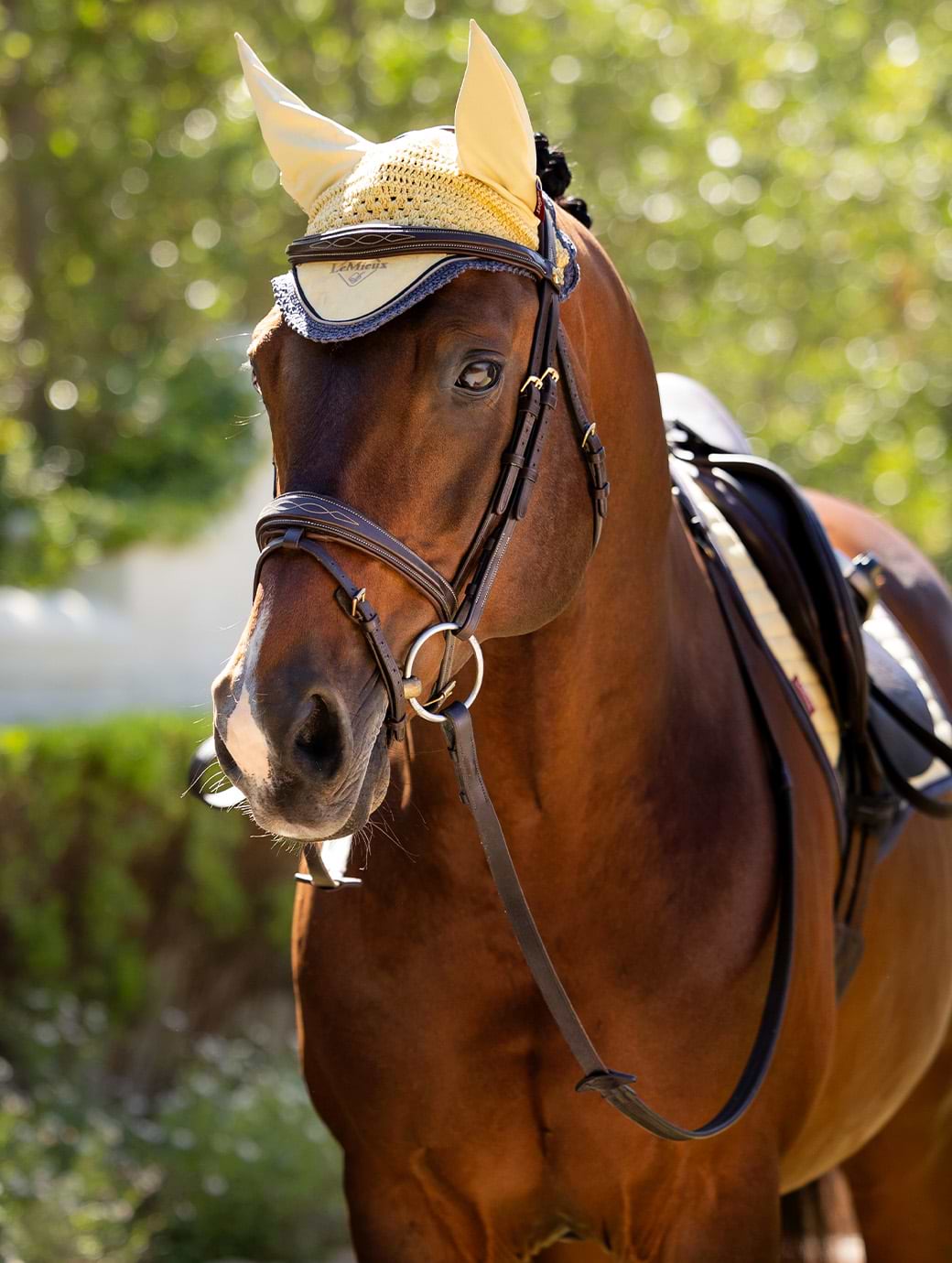 LeMieux Classic Fly Hood Mimosa