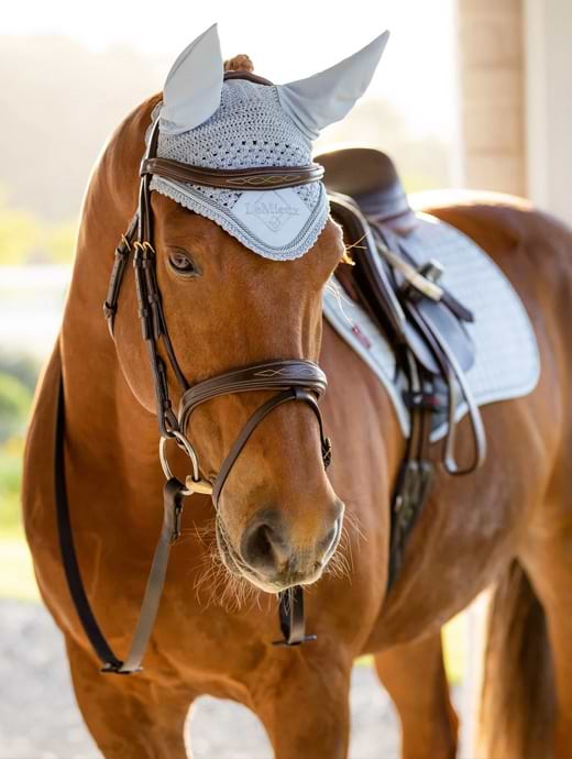LeMieux Classic Fly Hood Mist