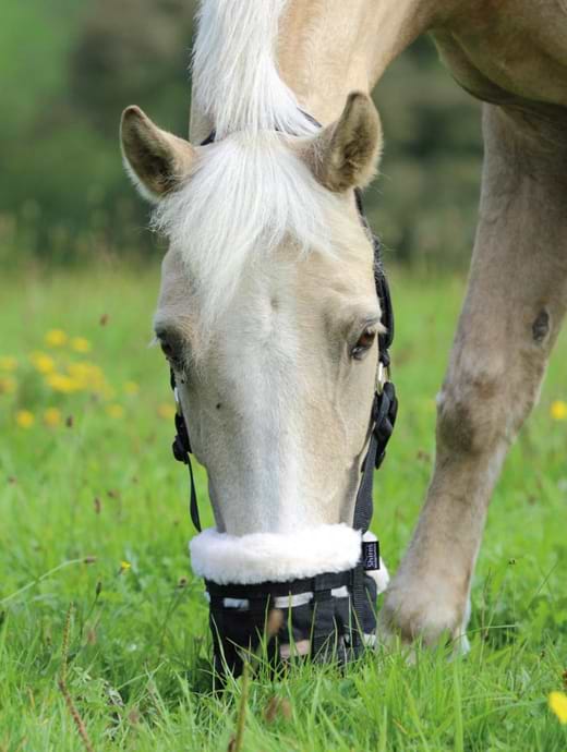Shires Deluxe Comfort Grazing Muzzle 
