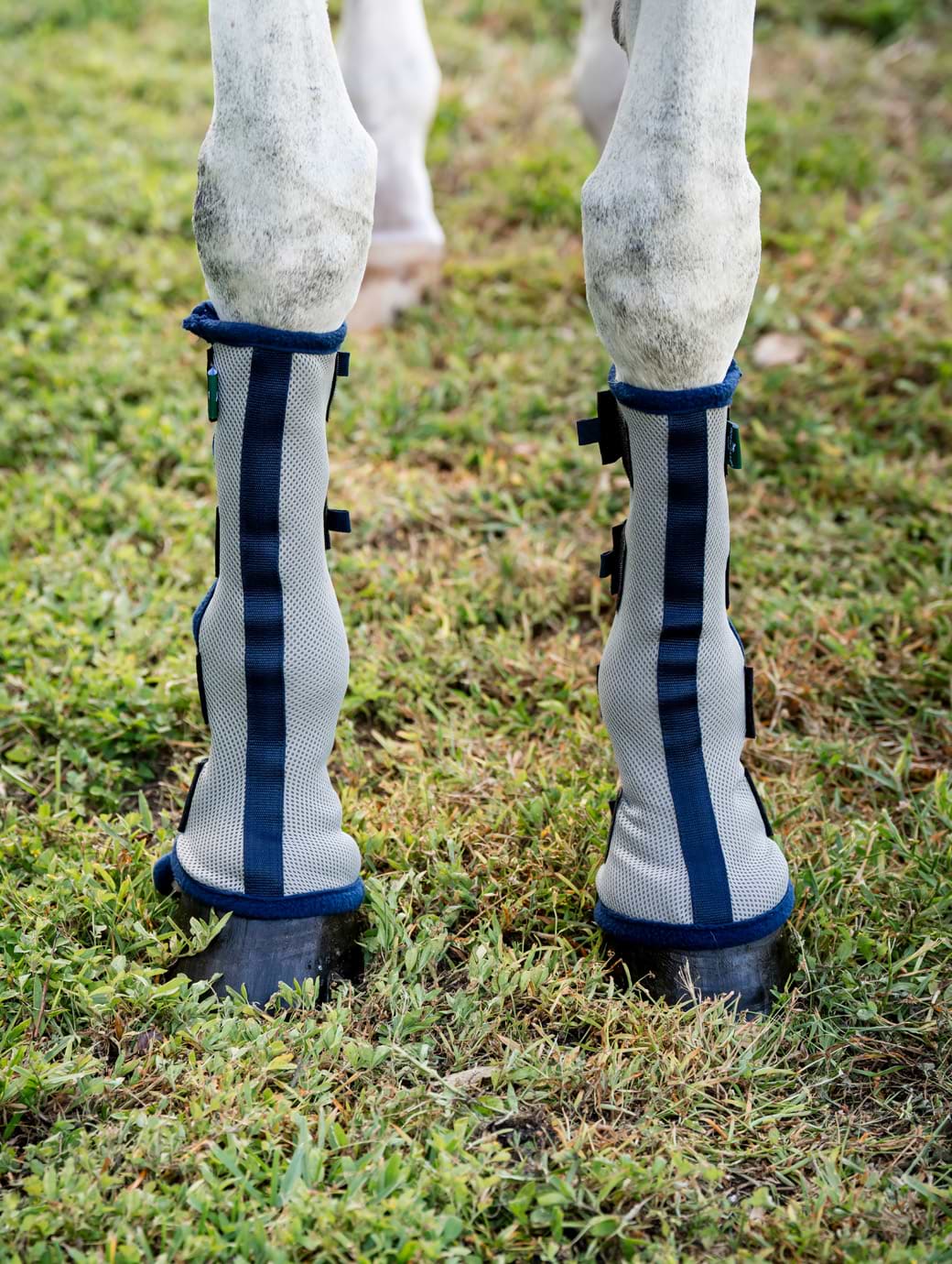 Horseware Horseware Fly Boots Set of 2 Silver/Navy