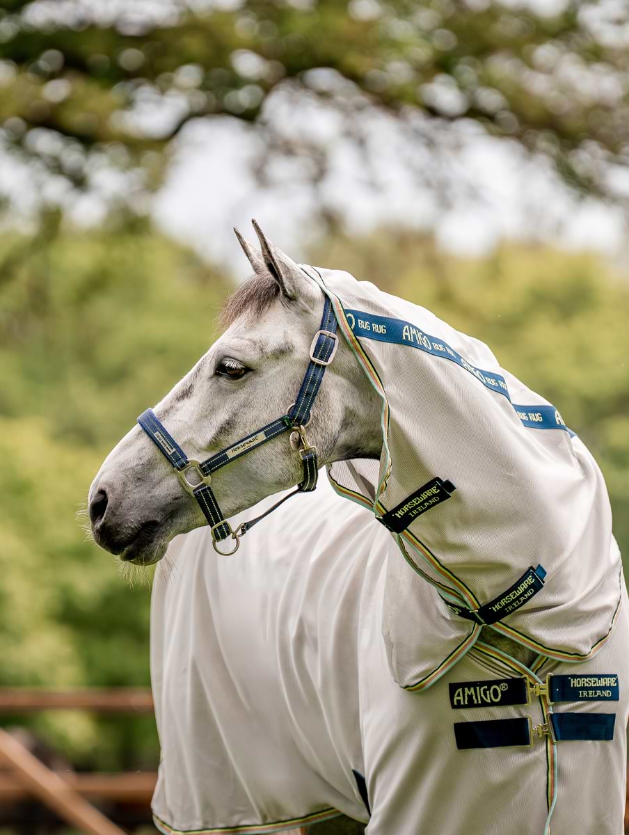 Horseware Field Safe Headcollar Navy