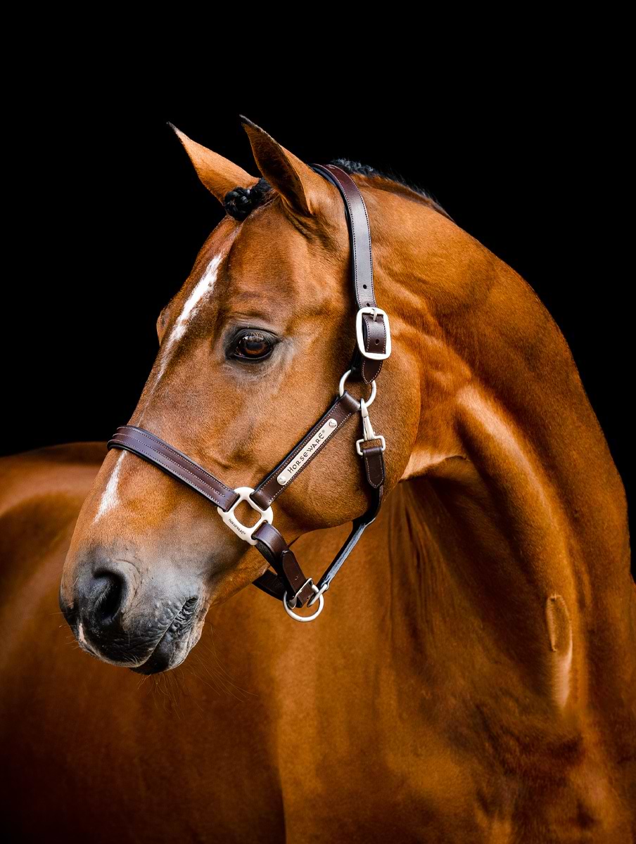 Horseware Signature Leather Headcollar Brown