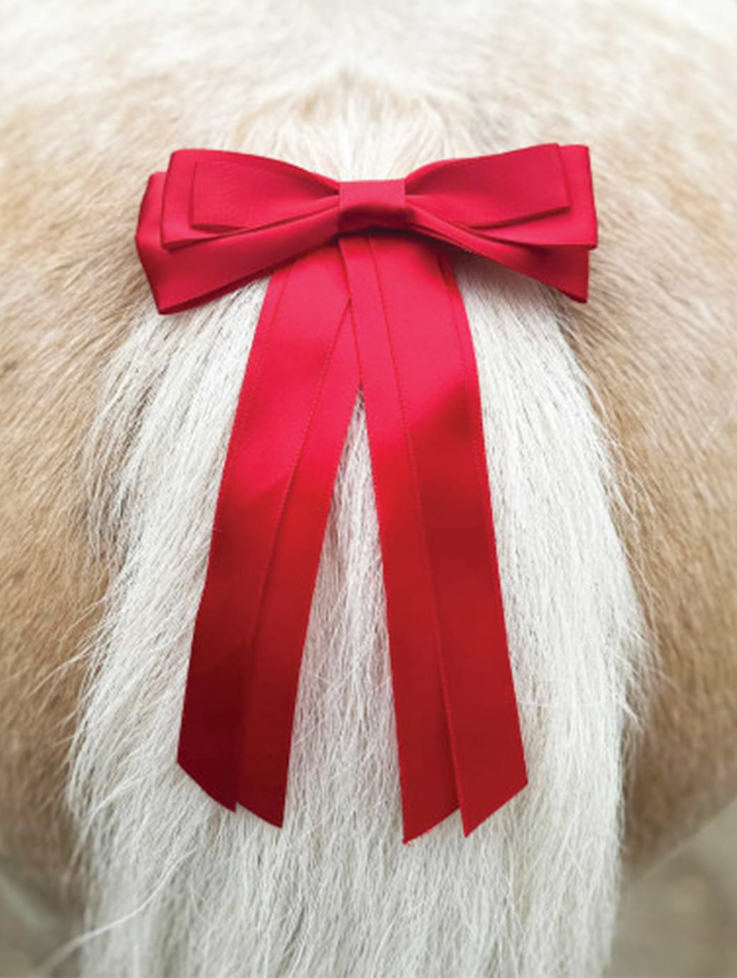 Equetech Horse Competition Warning Tail Ribbon Red 