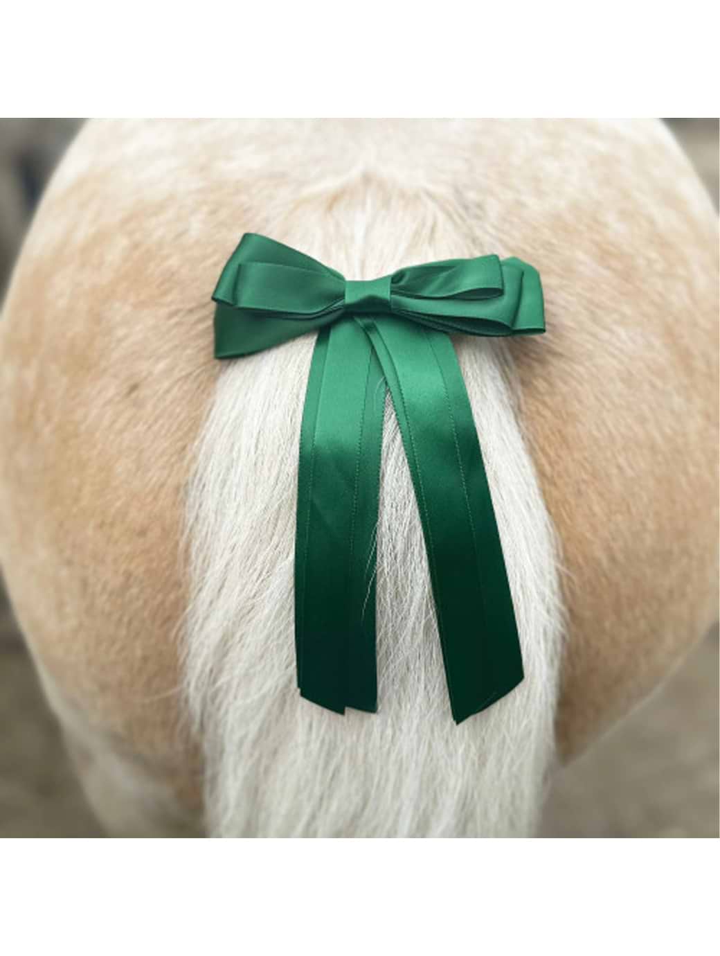Equetech Horse Competition Warning Tail Ribbon Green