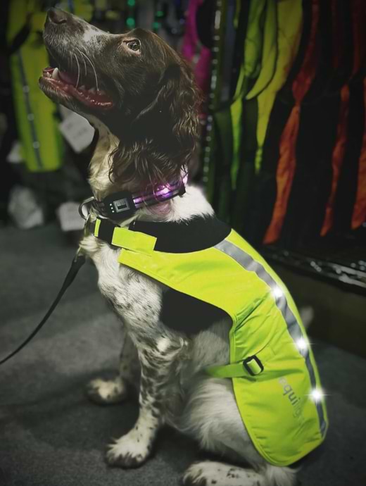 Led dog coat top