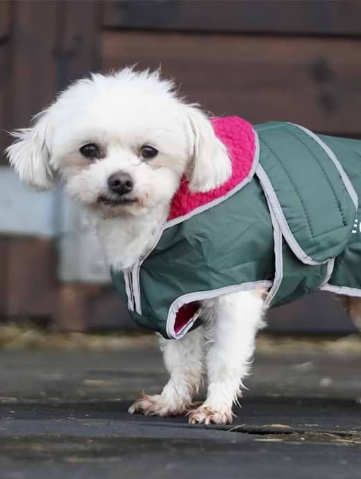 microfibre dog coat