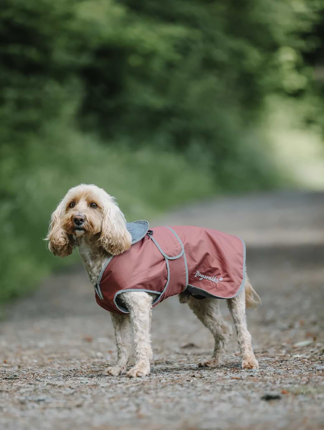 Drywalks Dog Coat Chestnut/Charcoal