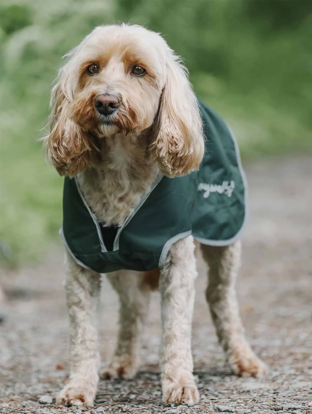 Drywalks Dog Coat Forest Green/Charcoal