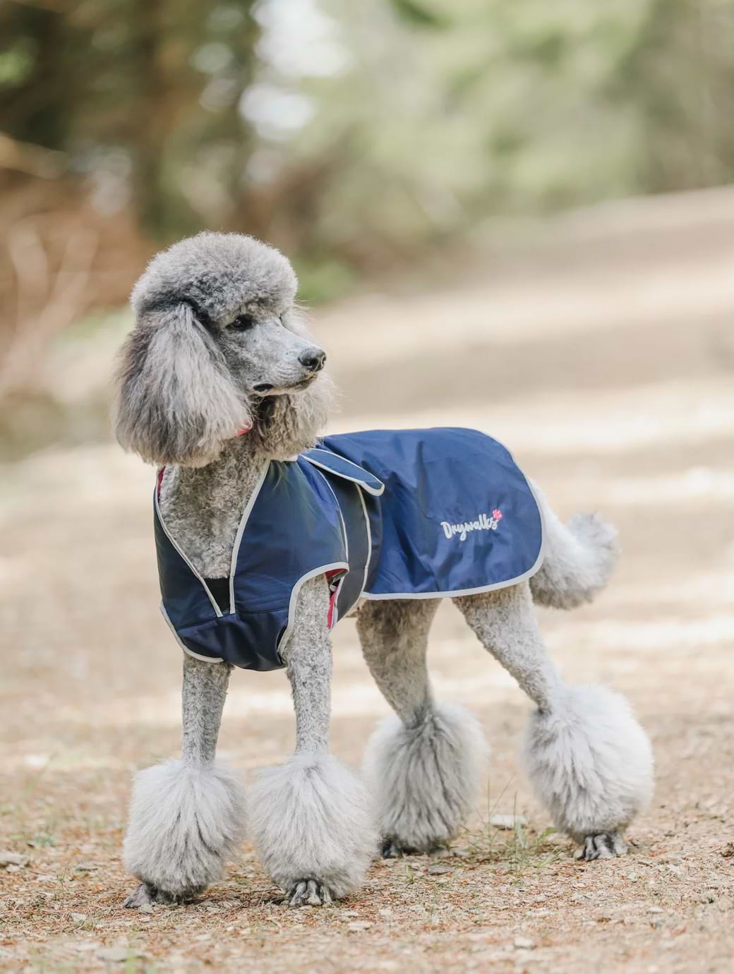 Drywalks Dog Coat Navy/Raspberry