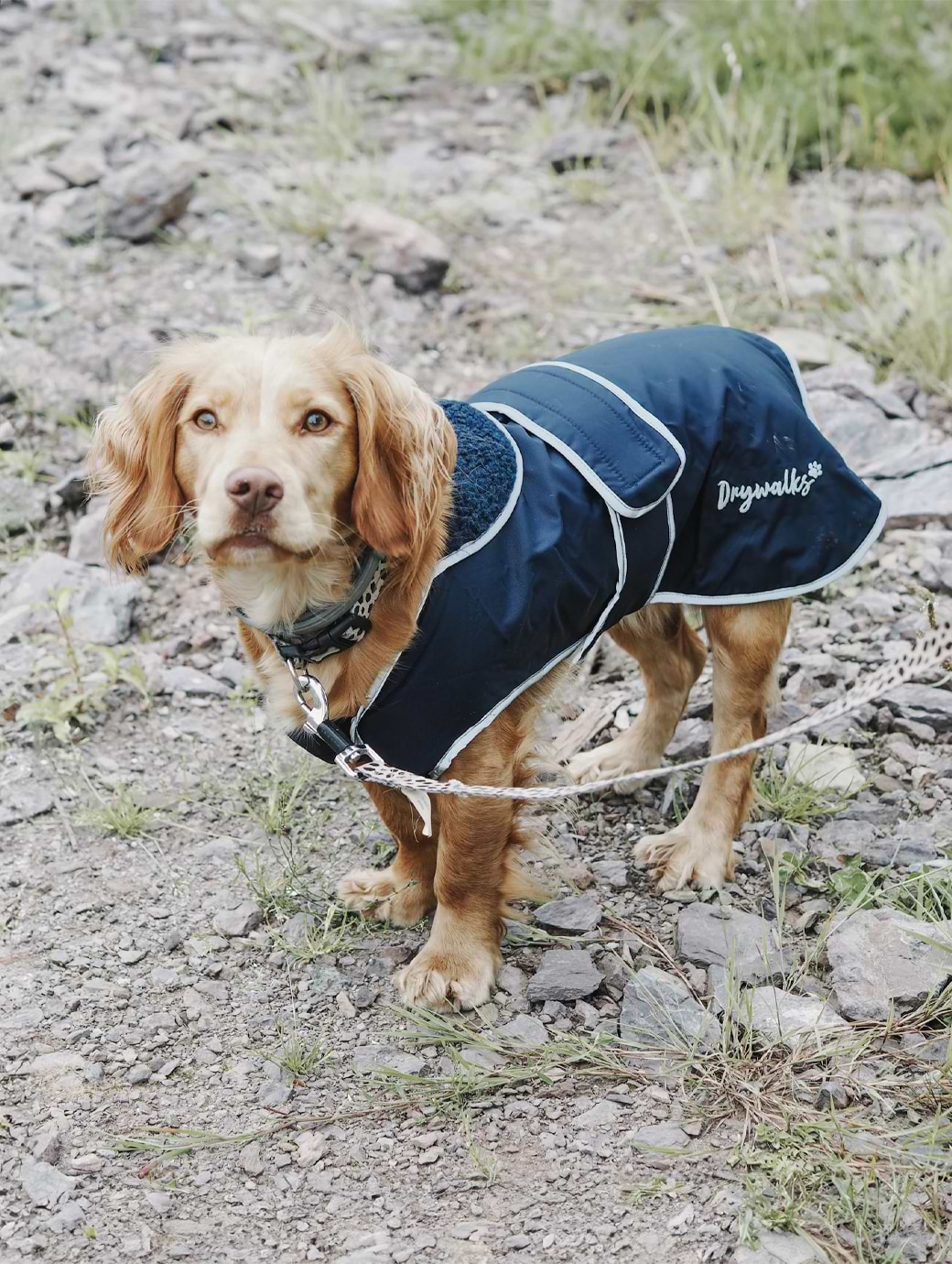 Drywalks Dog Coat Navy/Navy