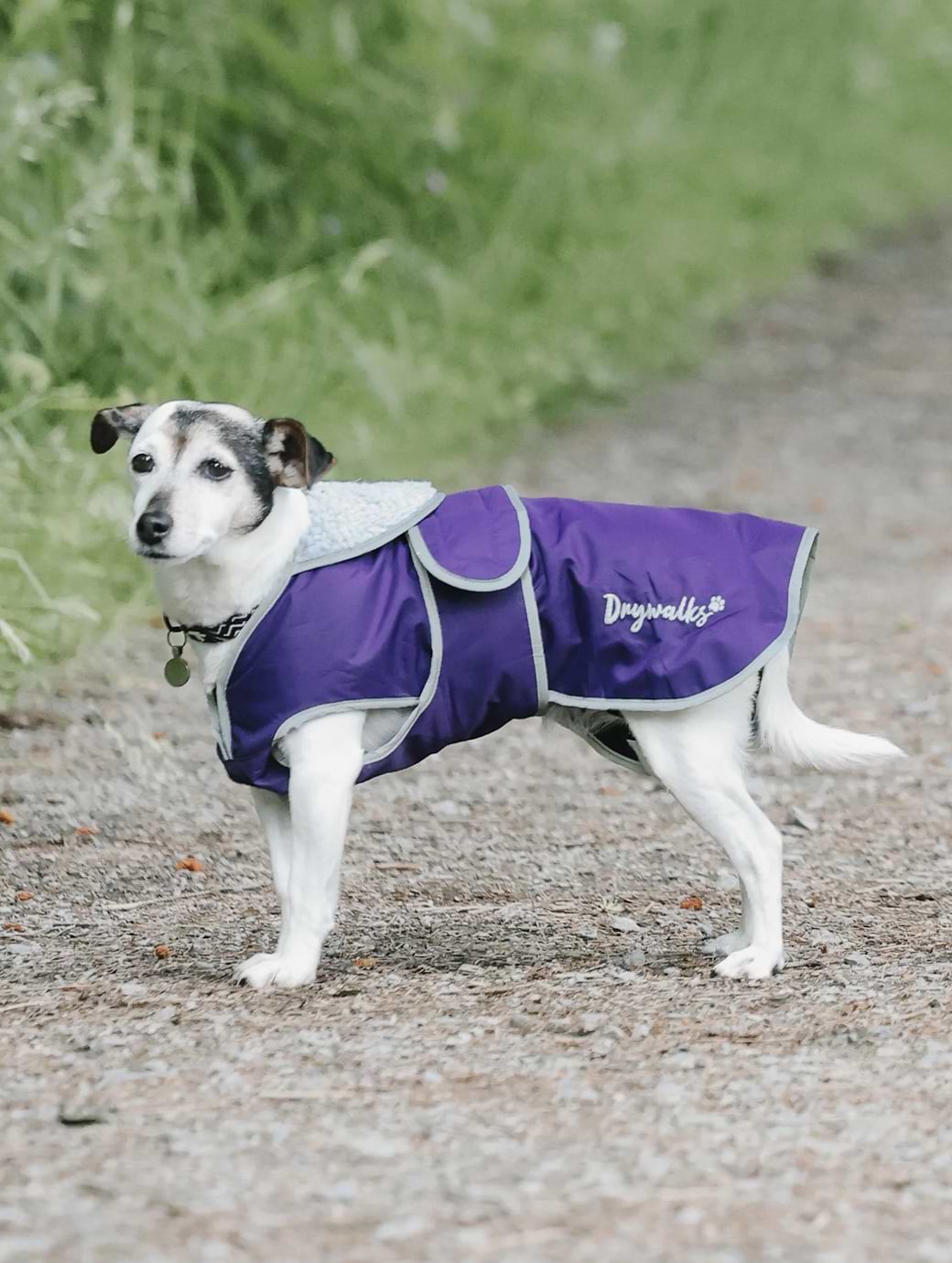 Drywalks Dog Coat Purple/Purple