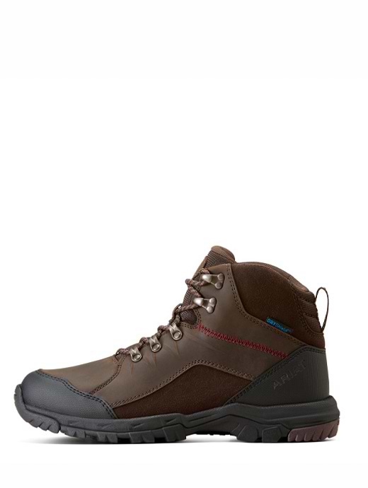 Ariat Men's Skyline Mid H2O Boot Chocolate Brown