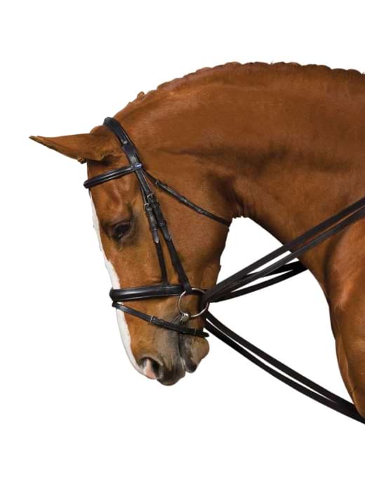 Kincade Web Draw Reins Black
