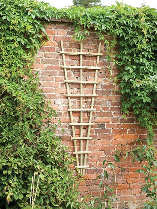 Forest Garden Traditional Fan Trellis 180x60cm