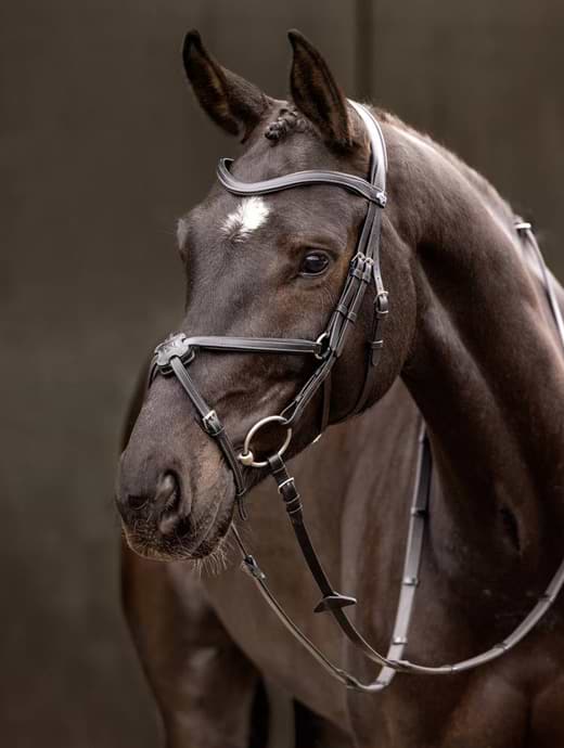 LeMieux Arika Grackle Bridle Black/Silver
