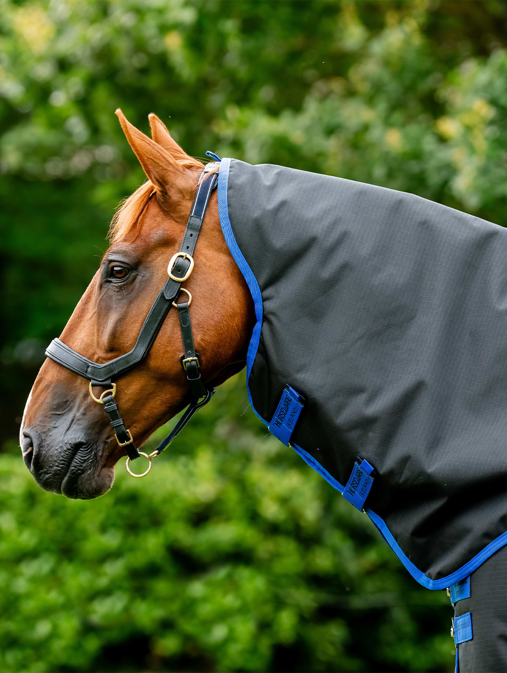 Horseware Amigo Ripstop 900 Hood 0g Black/Classic Blue