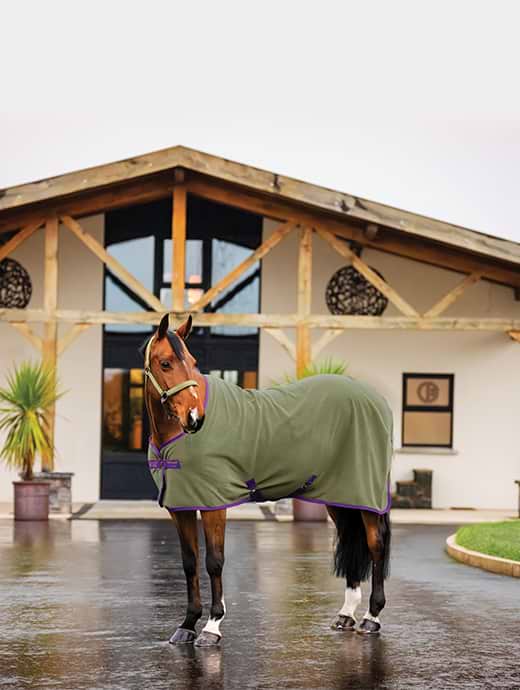 Horseware Amigo Fleece Cooler Bramble