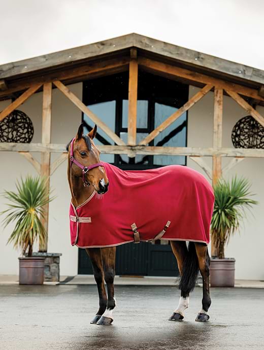 Horseware Amigo Fleece Cooler Mulberry