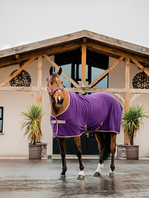 Horseware Amigo Fleece Cooler Winterberry