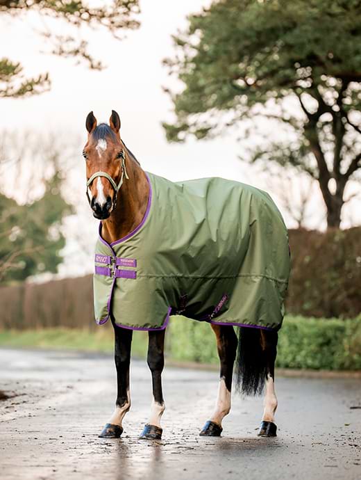 Horseware Amigo Hero Ripstop Original 50g Bramble/Winterberry