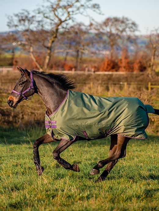 Horseware Amigo Hero Ripstop Original Lite 0g Bramble 