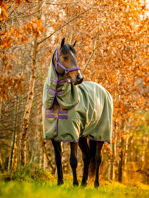 Horseware Amigo Hero Ripstop Plus 100g Bramble/Winterberry/Titan