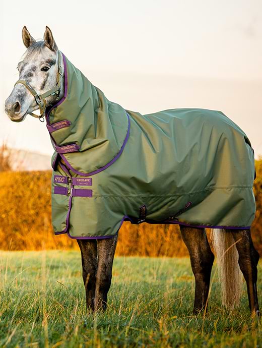 Horseware Amigo Hero Ripstop Plus 200g Bramble/Winterberry/Titan