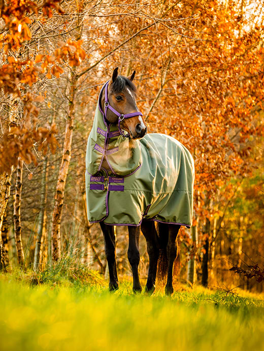 Horseware Amigo Hero Ripstop Plus Lite 0g Bramble/Winterberry/Taupe