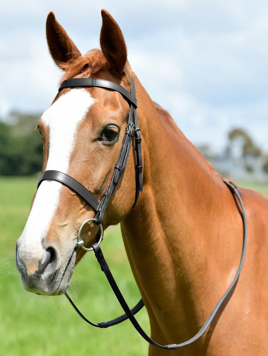 Kincade Classic Flat Hunt Bridle with Reins Black