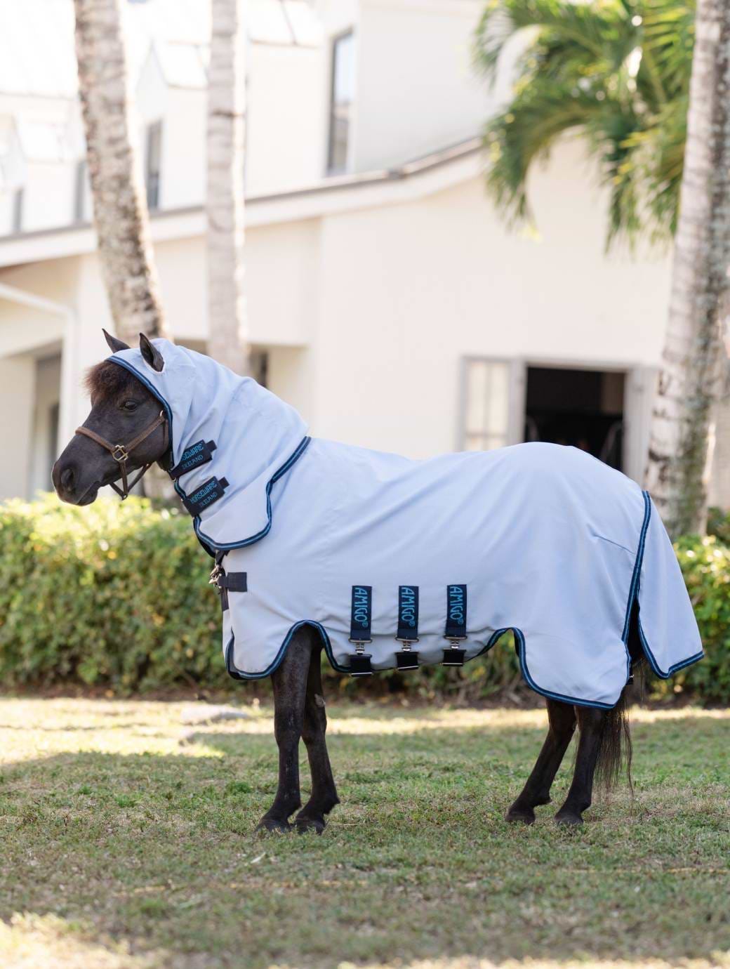 Horseware Amigo Ripstop Petite Hoody Azure Blue