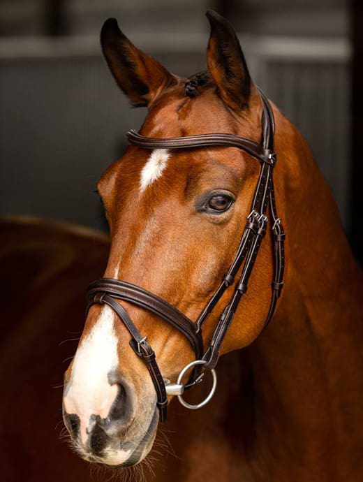 LeMieux Arika Flash Bridle Brown/Silver