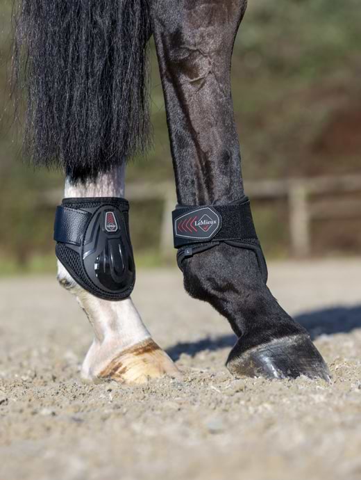 LeMieux Derby ProJump Fetlock Boot Black 