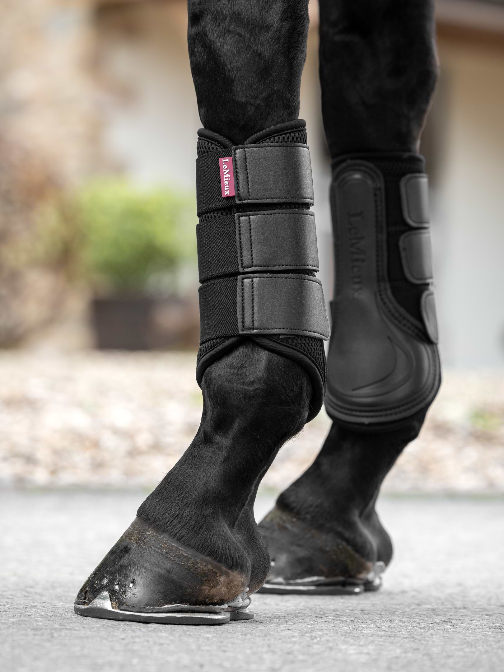 LeMieux Mesh Brushing Boot Black