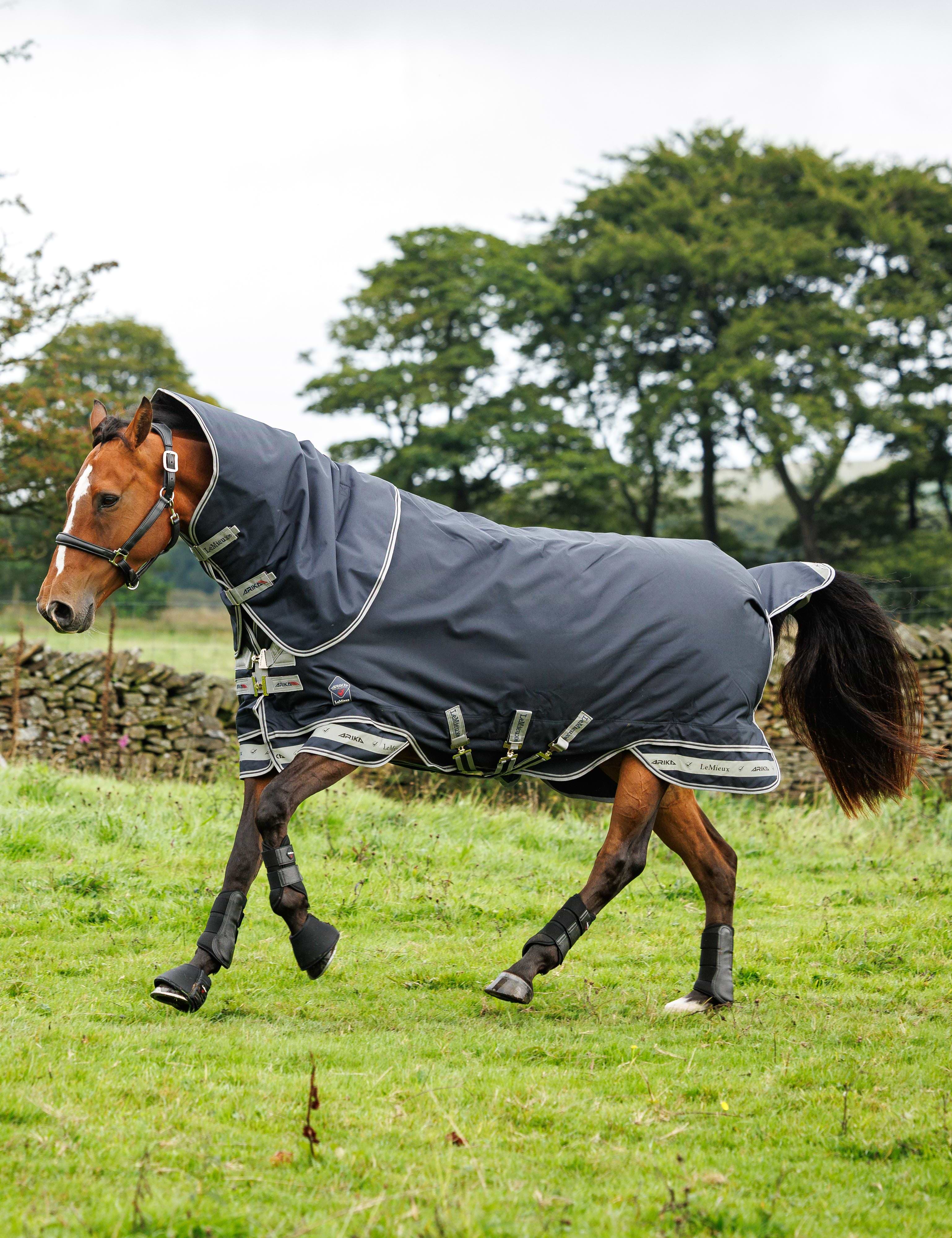 LeMieux Arika Storm-Tek Rug 100g Navy