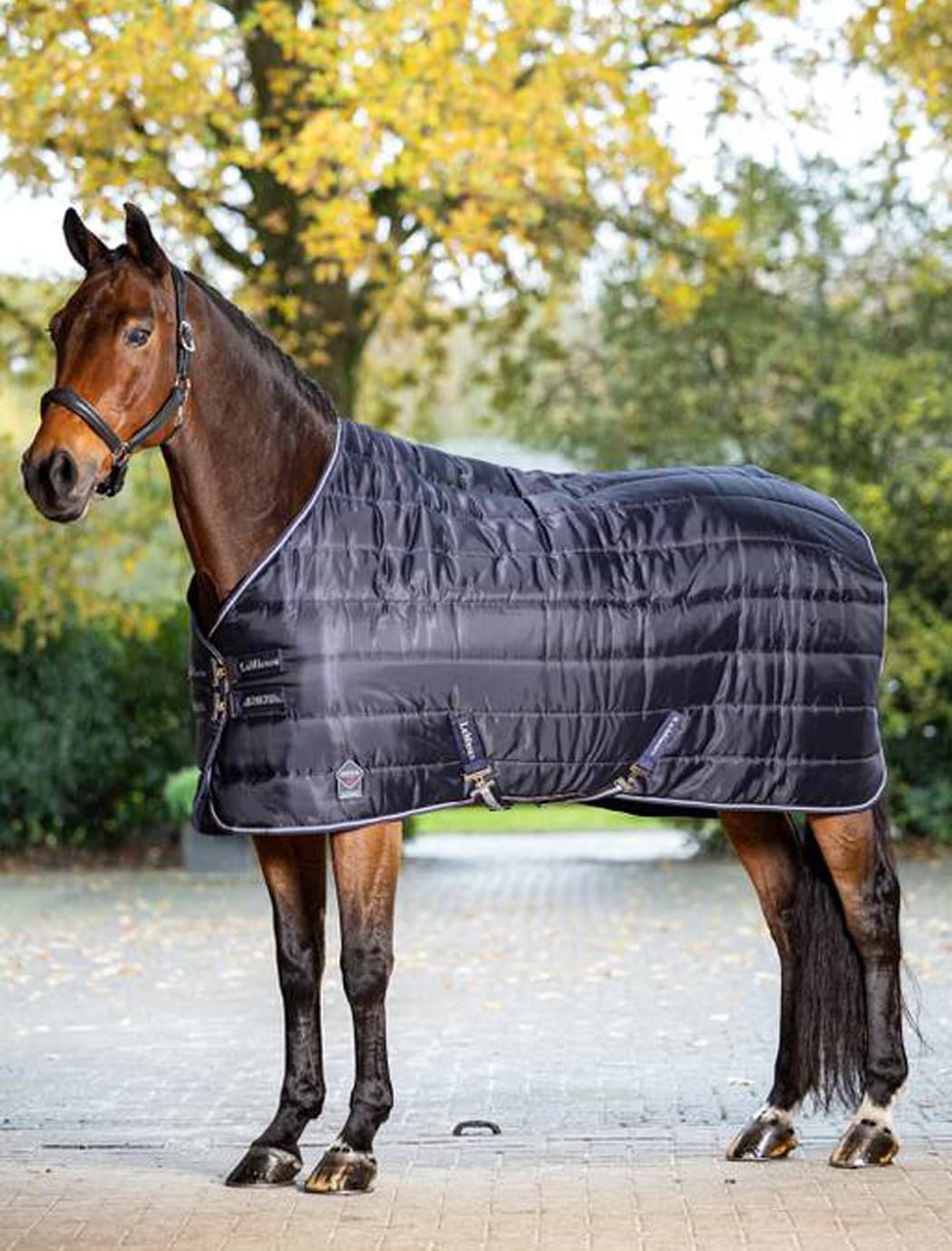 LeMieux Arika Stable-Tek 100g Navy
