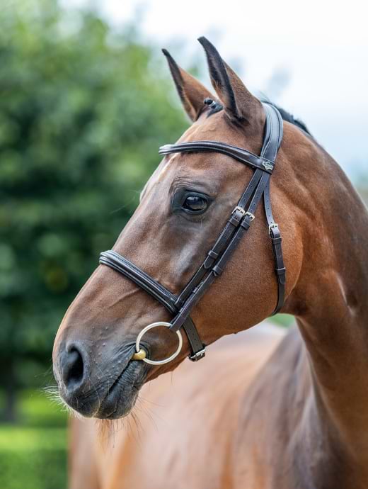 LeMieux Arika Cavesson Bridle Brown/Silver
