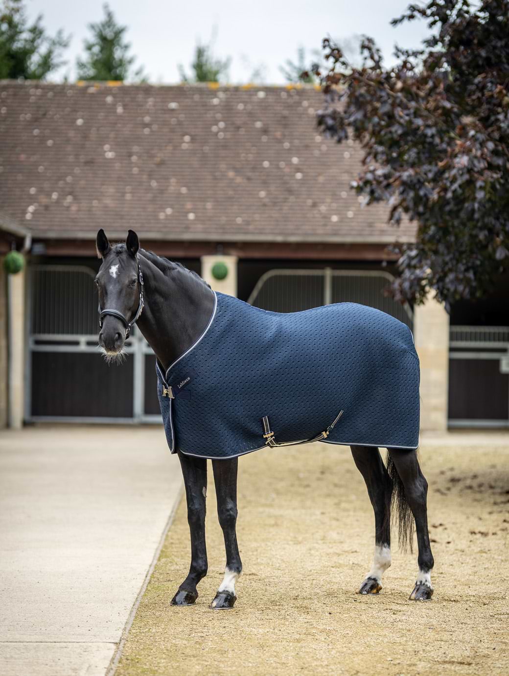 LeMieux Kudos 3D Mesh Travel Rug Navy