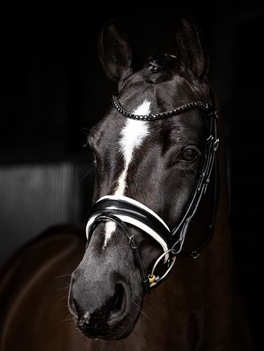 LeMieux Kudos Patent Dressage Bridle Black/White