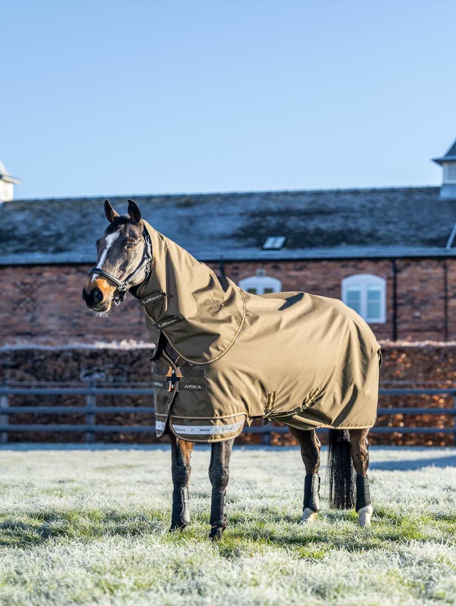 LeMieux Arika 600D Ripstop 200g Turnout Rug Alpine 