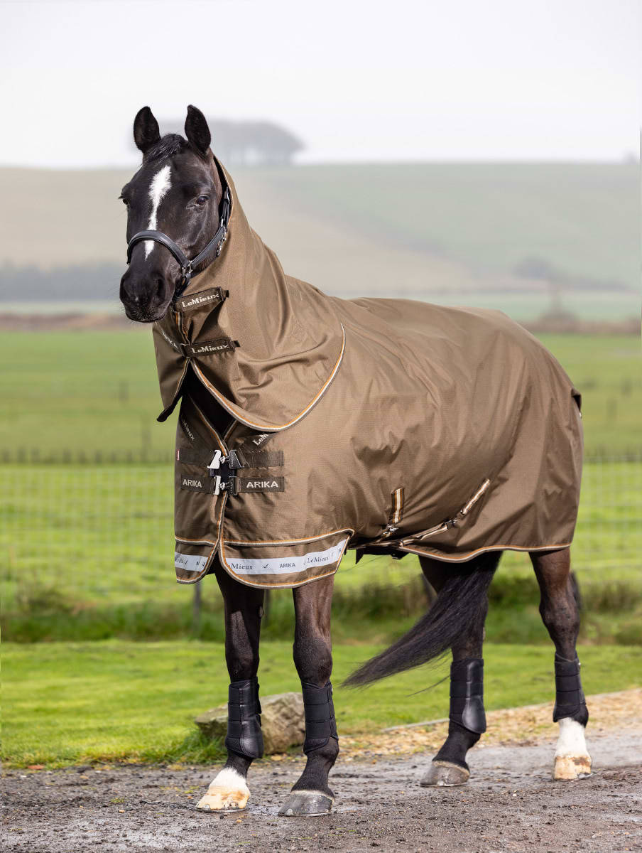 LeMieux Arika 600D Ripstop 100g Turnout Rug Alpine 