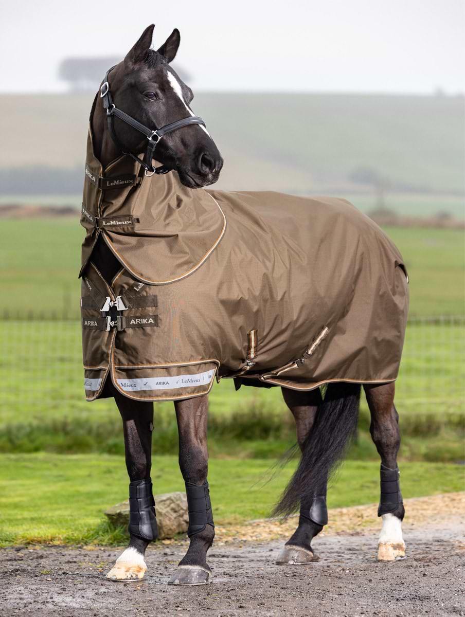 LeMieux Arika 600D Ripstop 50g Turnout Rug Alpine 