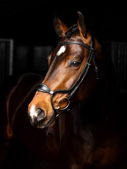 LeMieux Arika Adjustable Anatomic Noseband Bridle Black/Silver 