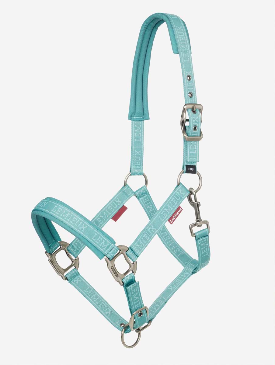 LeMieux Logo Headcollar Lagoon